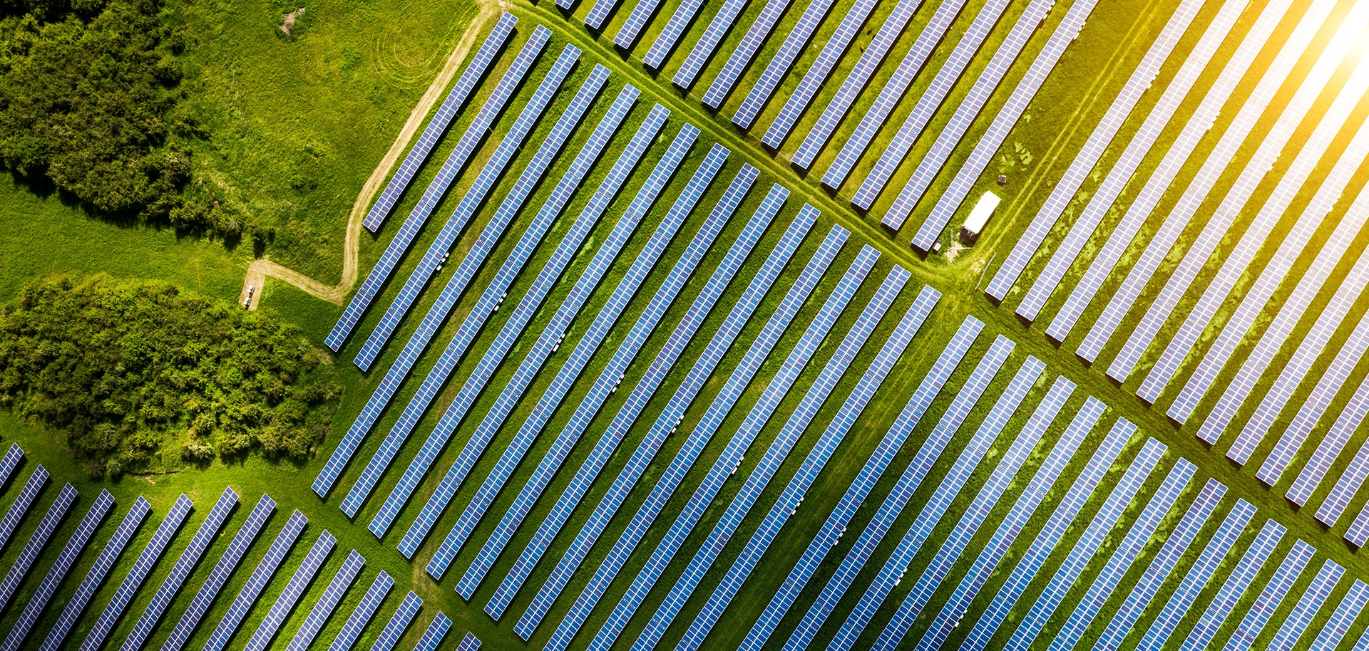 utility scale solar installation